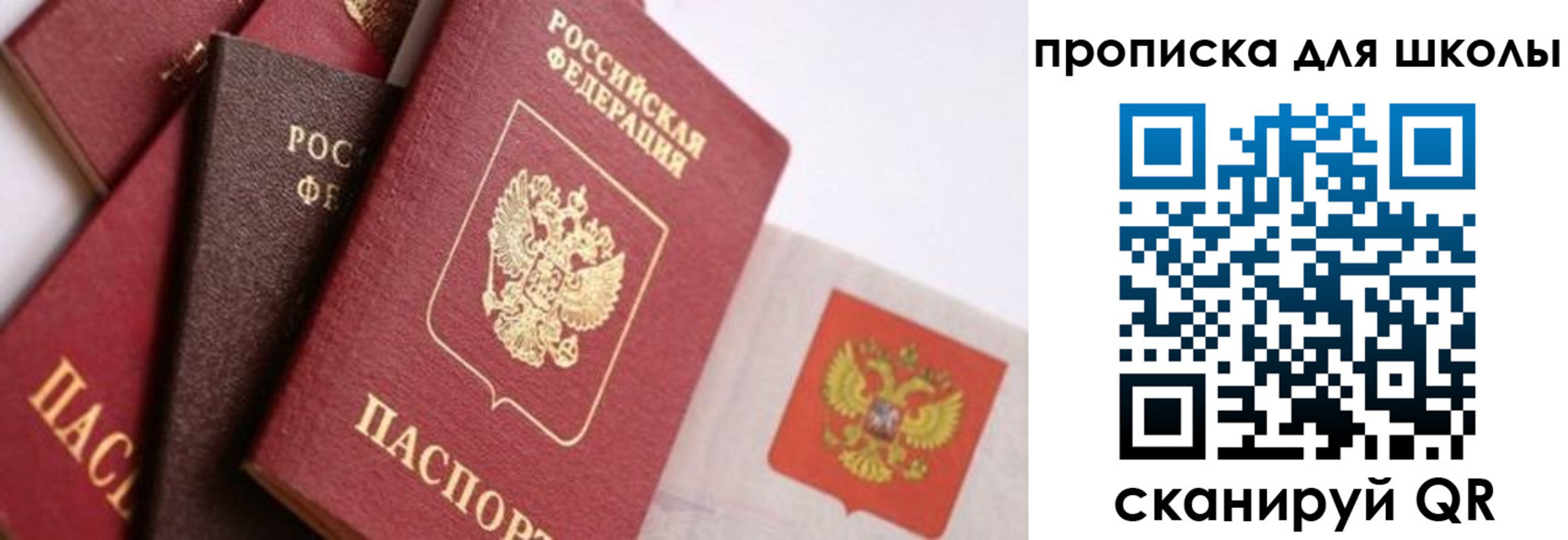 прописка поиск в Реже